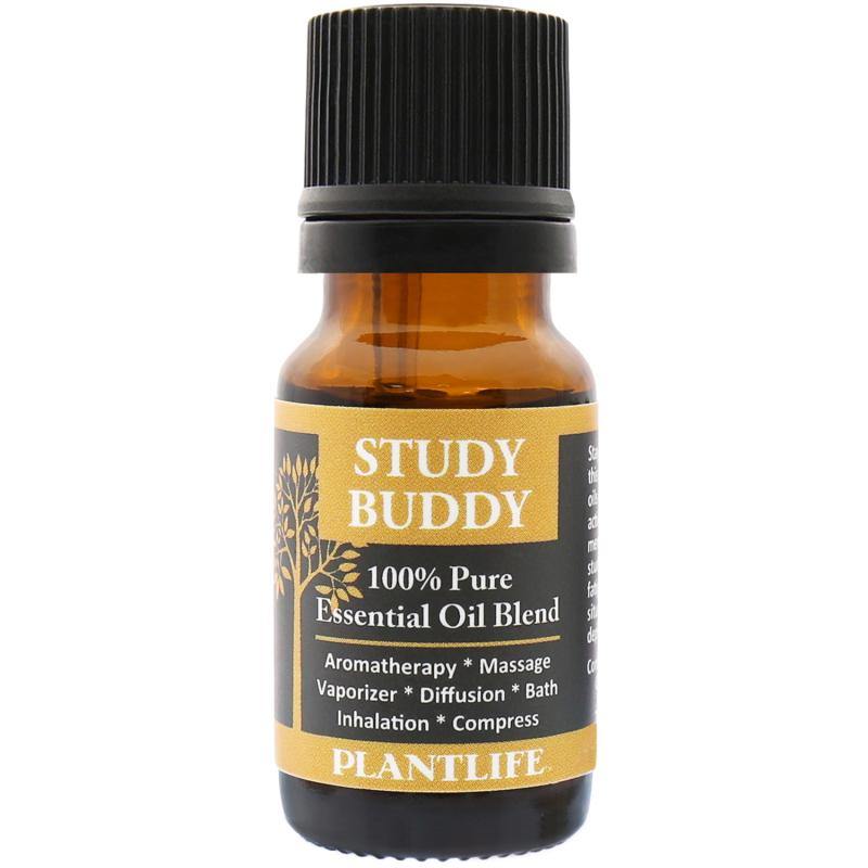 Plantlife Study Buddy Essential Oil Blend 10ml - ScentGiant